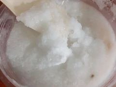 椰汁海石花-南街清补凉(黄贝岭店)
