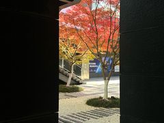 -苏州现代传媒广场商业