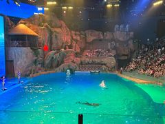 -芜湖新华联大白鲸海洋公园