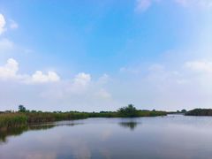 -盐城丹顶鹤湿地生态旅游区