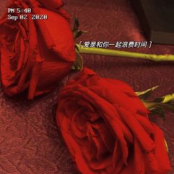 -南昌喜来登酒店·宴会厅