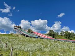 -塞罕坝国家级自然保护区