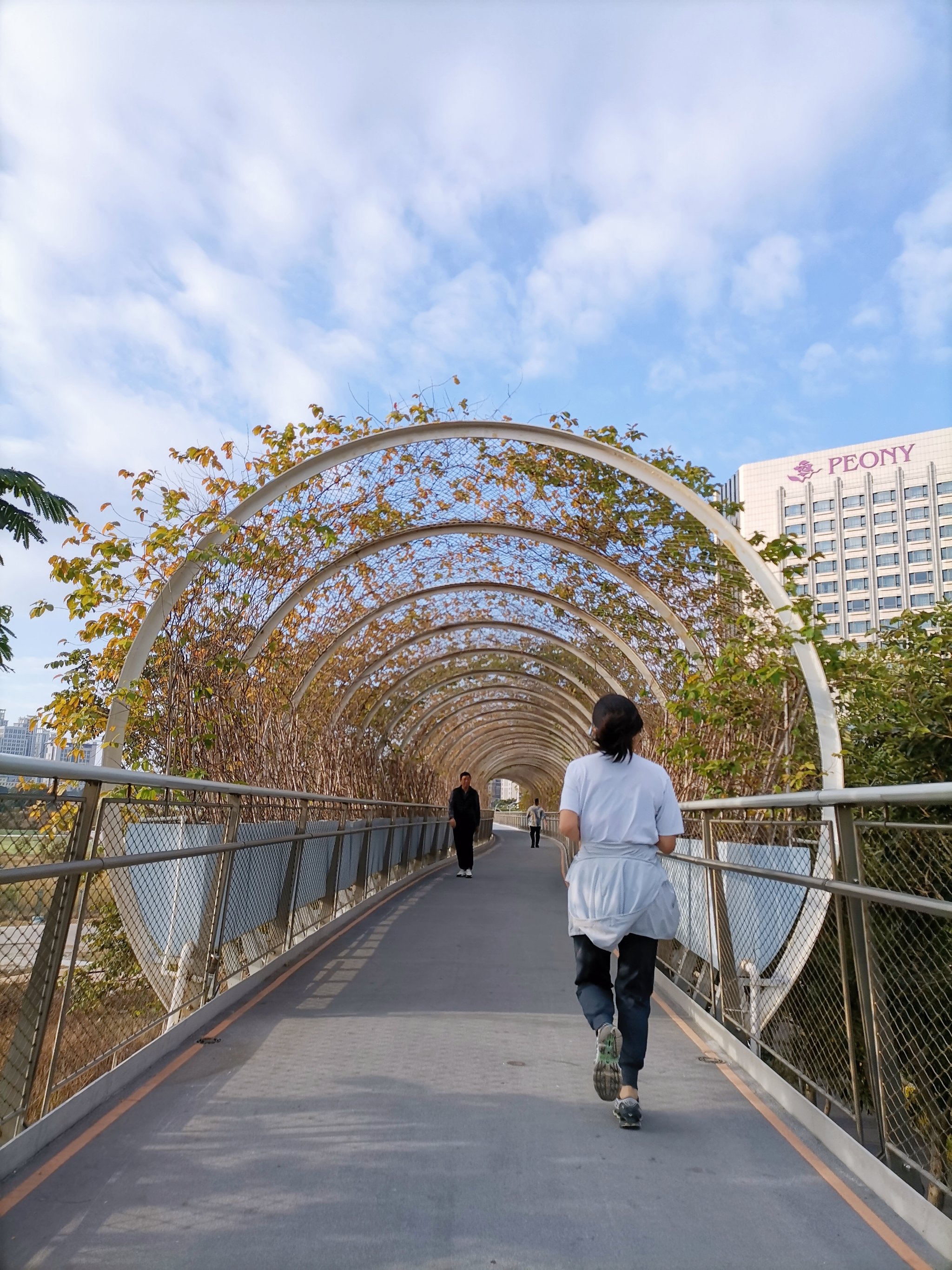 五缘湾山海步道入口图片