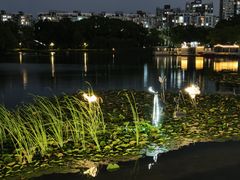 -新江湾城公园