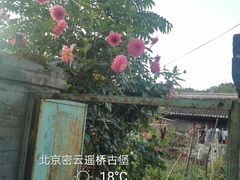 -遥桥古堡