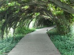 -广西壮族自治区药用植物园
