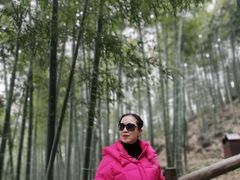 -莫干山风景区