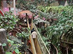 -正佳雨林生态植物园
