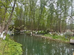 -桤木河湿地公园