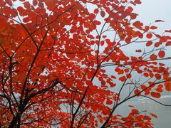-秦岭终南山世界地质公园翠华山景区