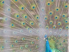 -雪山彩虹谷景区