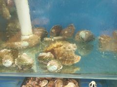 -海帮主·蒸汽海鲜青岛菜(栈桥火车站店)