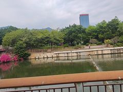 -光明港公园