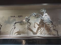 -大庆市博物馆