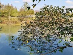 -金稼园·金平湖农家菜