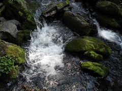 -凤凰山国家森林公园