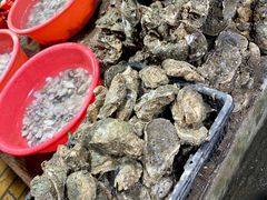 生蚝-都斛海鲜街