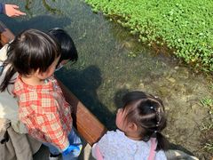 -成飞公园