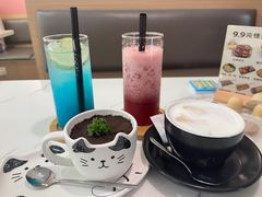 -喵园·猫主题咖啡厅·撸猫·猫咖(国贸店)