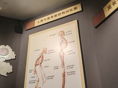 -辽宁古生物博物馆