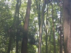 -青城山