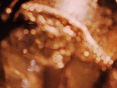 迷迭桃桃鸡尾酒-星巴克臻选(北京嘉里中心第二店)