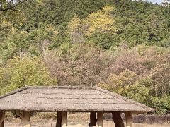 -杭州野生动物世界