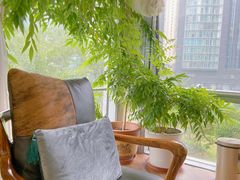 -精德口腔·种植修复·儿牙中心(财富中心店)