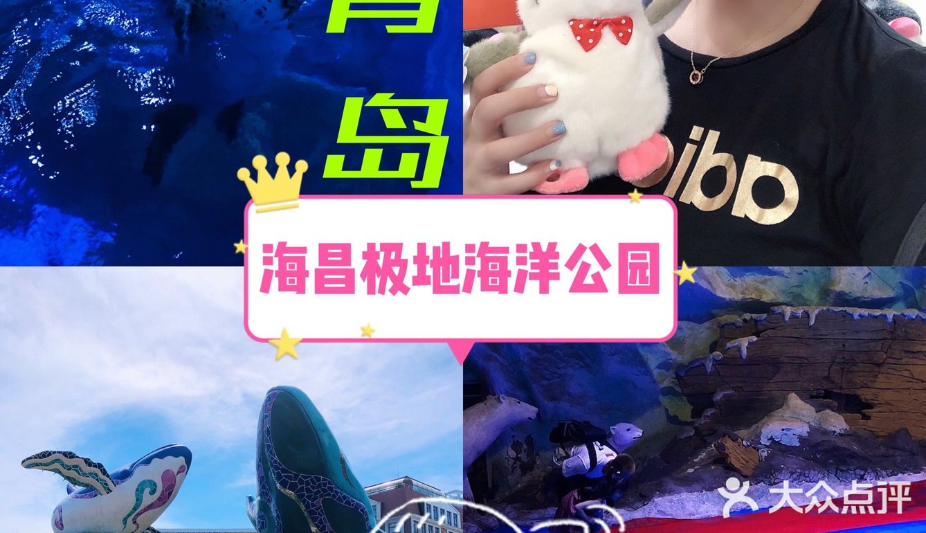🐬🐬夏日遛娃好去处～青岛海昌极地海洋公园