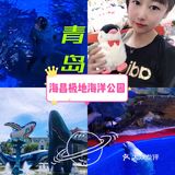 🐬🐬夏日遛娃好去处～青岛海昌极地海洋公园
