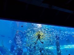 -哈尔滨波塞冬海底世界