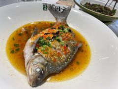 -味派菜园子(华章保利拾光荟店)
