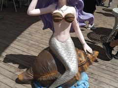 -石林冰雪海洋世界