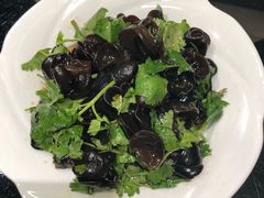 -新南华大酒店(广中店)