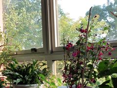 -北京龙庆四季香农家饭庄·灶台鱼·碳烤虹鳟鱼(龙庆峡店)