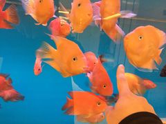 -极乐汇汗蒸会馆(杭州店)
