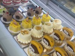 -夏佐CHASEL(横店康庄路店)