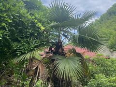 -藏龙百瀑风景区