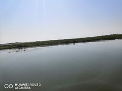 -洪湖湿地生态园