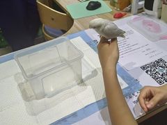 -雨林宠物医院 非犬猫异宠专科