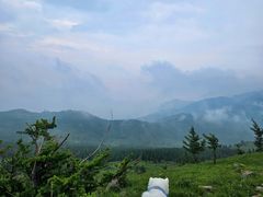 -灵山