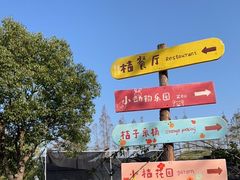 -前小桔亲子创意农场·草莓采摘·露营烧烤