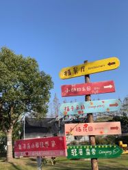 点击看大图 -前小桔亲子创意农场·草莓采摘·露营烧烤