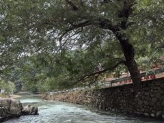 -鹿亭中村