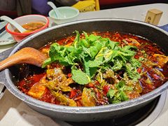 -黔渔翁豆花渎鱼(喷水池店)