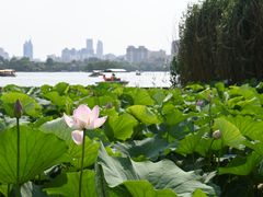-济南大明湖景区