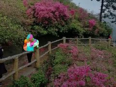-木兰云雾山
