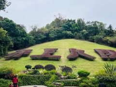 -深圳仙湖植物园
