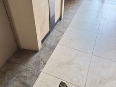 -苏州河梦清园环保主题公园