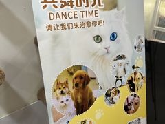 -共舞时光猫咖·狗咖(新街口店)